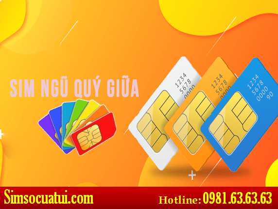 sim ngũ quý giữa - Đẵng cấp cho bạn